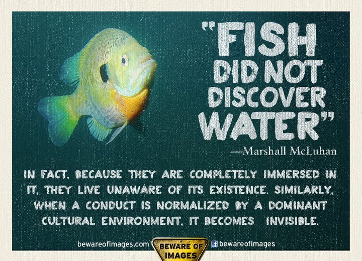 fish-did-not-discover-water-marshall-mcluhan-in-fact-because-they-are-completely-immersed-in-it-they-live-unaware-of-its-existence-similarly-when-a-conduct-is-normalized-by-a-dominant-cu
