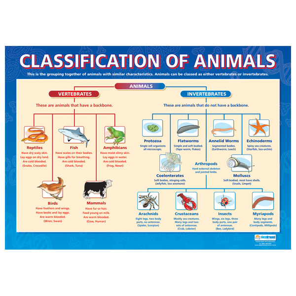 animalClassification